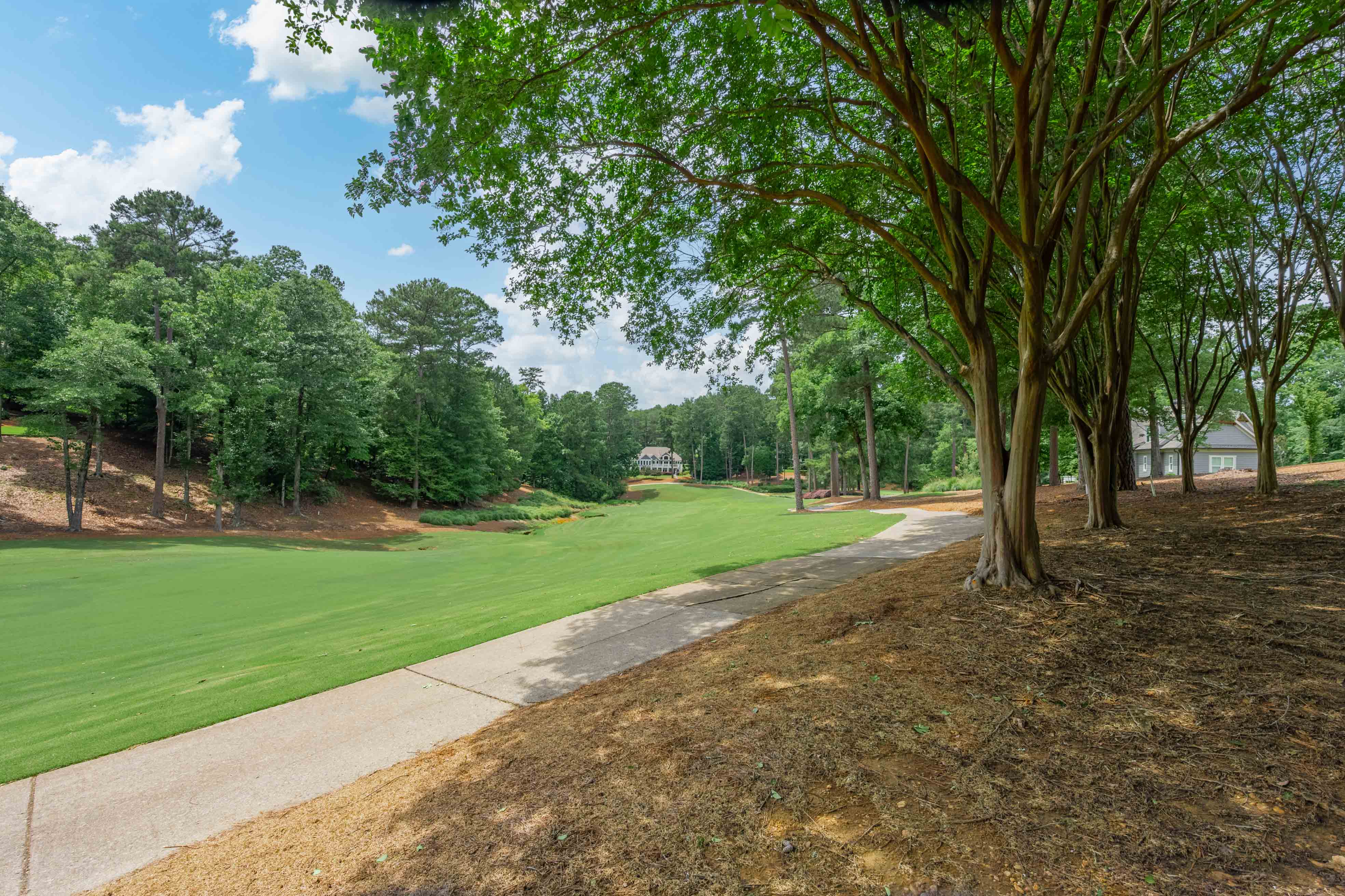 1101 Scull Shoals Drive image 22